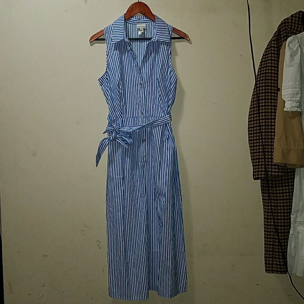 En Focus Petite stripped dress